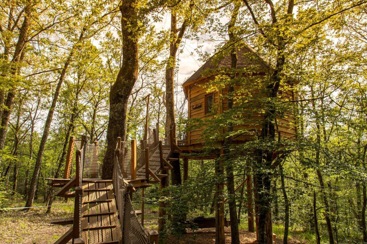 Dans Les Arbres Avec Lot Et Dordogne Lamothe-Fenelon