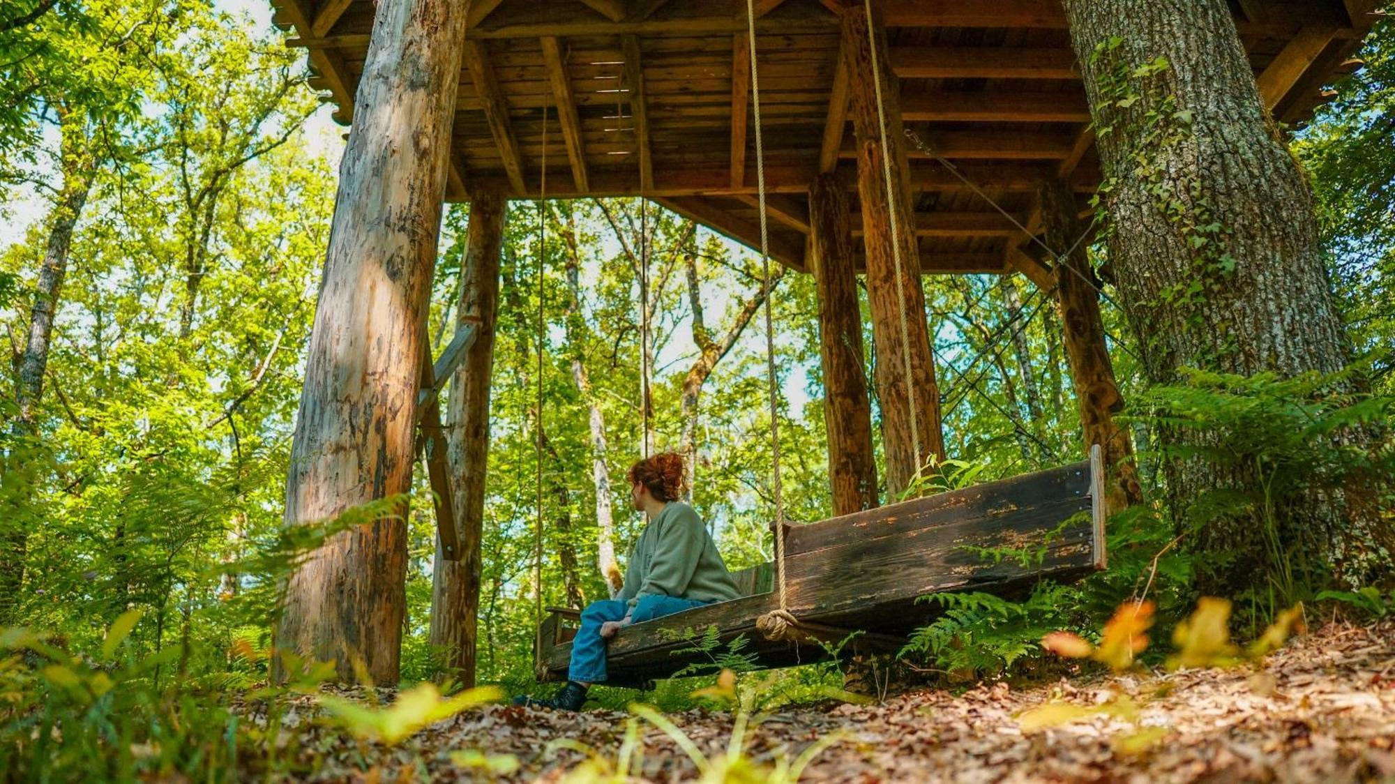 Dans Les Arbres Avec Lot Et Dordogne Lodge